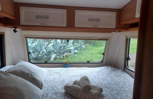 Tarifa Otro | Camping en Molino Dorado