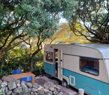 Tarifa Otro | Camping en Molino Dorado