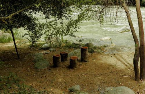 Londres Otro | Camping Finca Planeta Sano