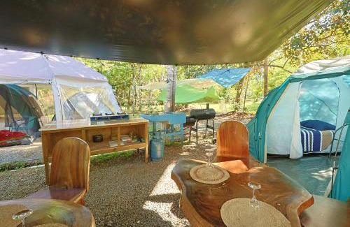 Londres Otro | Camping Finca Planeta Sano