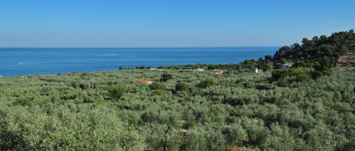 Mattinata Otro | Camping Fontana delle Rose