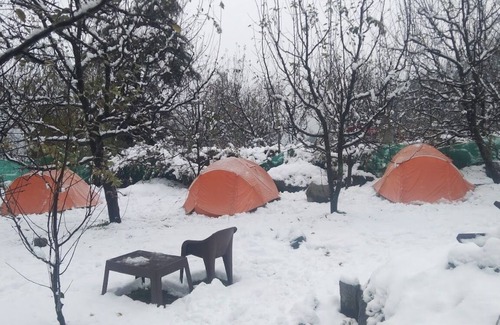 New Manali Alquiler De RV | Camping in Solang Valley Manali