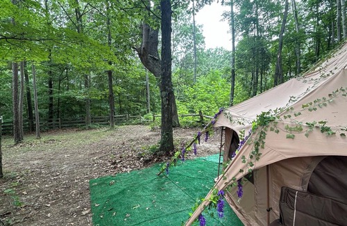 Ray Casa | Camping in style And comfort