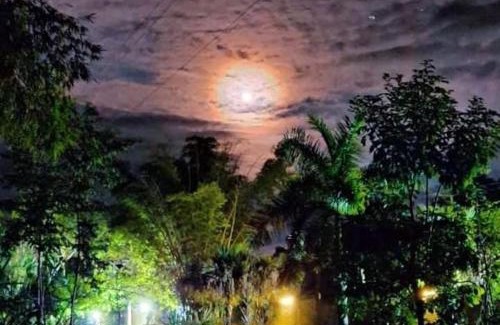 Huautlco Otro | Camping Jardín Botánico Herbolario HUMAR