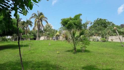 Huautlco Otro | Camping Jardín Botánico Herbolario HUMAR