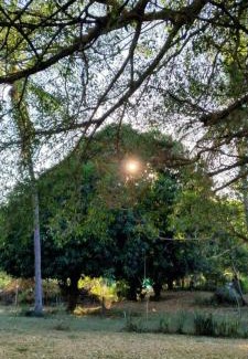 Huautlco Otro | Camping Jardín Botánico Herbolario HUMAR