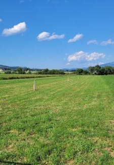 Pausendorf Otro | Camping Kaltenbrunner 64m2 Stellfläche