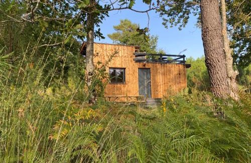 Carcans Otro | Camping la Kahute - Tiny House au coeur de la fôret