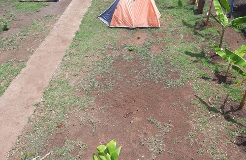 Hanga Roa Alquiler De RV | Moehiva tu mejor opción para disfrutar Rapa Nui al aire libre