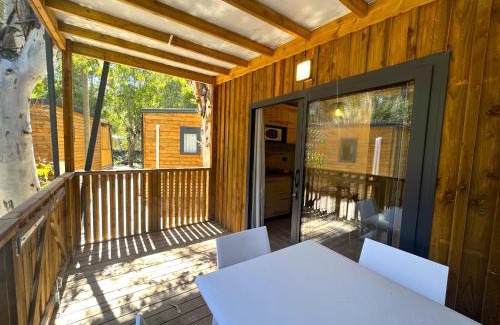 Calvi Complejo | Camping La Pinède