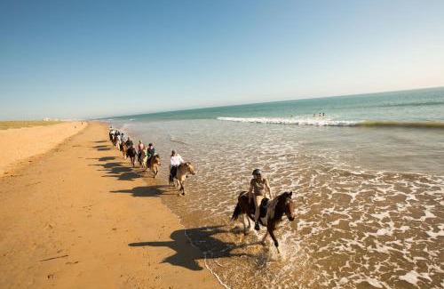 Saint-Hilaire-de-Riez Otro | Camping le Clos des Pins
