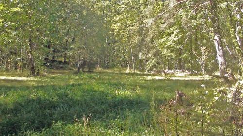 Escaro Otro | Camping le P'Tit Bonheur
