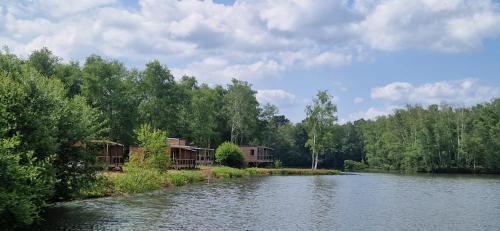 Sainte-Montaine Otro | Camping maeva Respire Domaine de Sainte Montaine