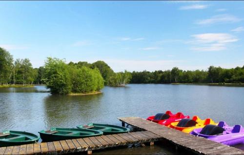 Sainte-Montaine Otro | Camping maeva Respire Domaine de Sainte Montaine
