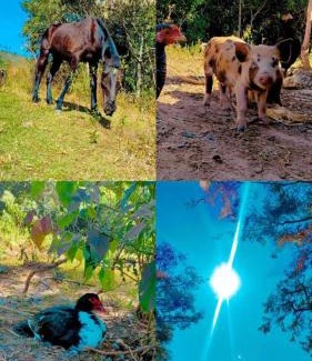 Sao Thome das Letras Otro | Camping Nhá Chica