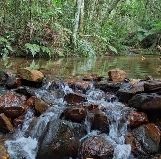 Sao Thome das Letras Otro | Camping Nhá Chica