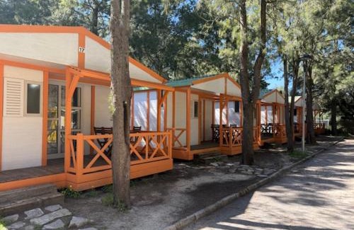 Bolonia Otro | Camping Paloma