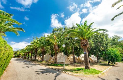 Bolonia Otro | Camping Paloma