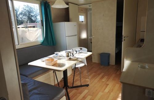 Viareggio Otro | Camping Paradiso