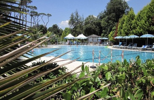Viareggio Chalet De Esquí | Camping Paradiso - Zona Rossa 5