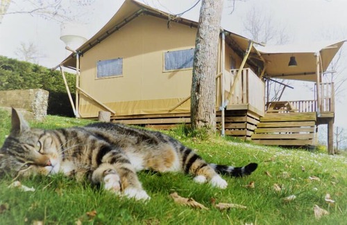 Cassagnabere-Tournas Casa | Pré Fixe campsite **** - Lodge Safari Woody 3 rooms 4 people