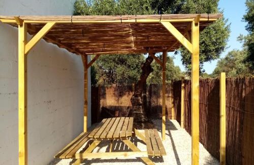 Riba-Roja d'Ebre Otro | Camping Riba-roja