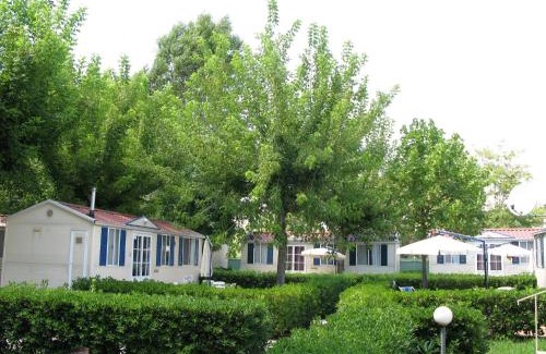 Ameglia Otro | Camping River