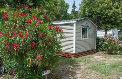 Tarascon Otro | CAMPING SAINT GABRIEL *