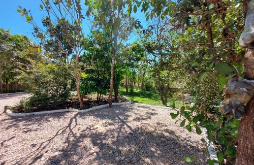 Cavalcante Otro | Camping Serra Santana