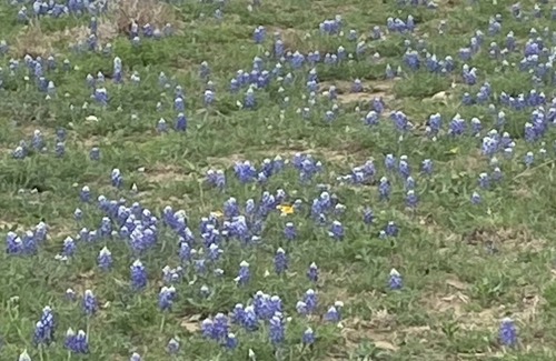 Llano Alquiler De RV | Camping! Solar eclipse! Bring your tent! Llano TX