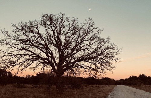 Llano Alquiler De RV | Camping! Solar eclipse! Bring your tent! Llano TX