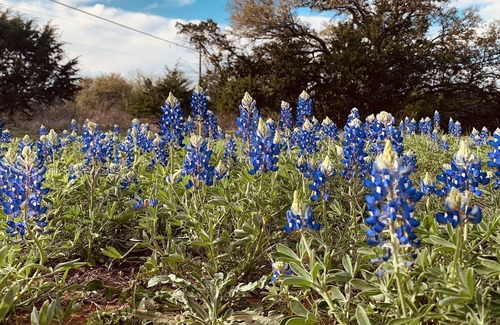 Llano Alquiler De RV | Camping! Solar eclipse! Bring your tent! Llano TX
