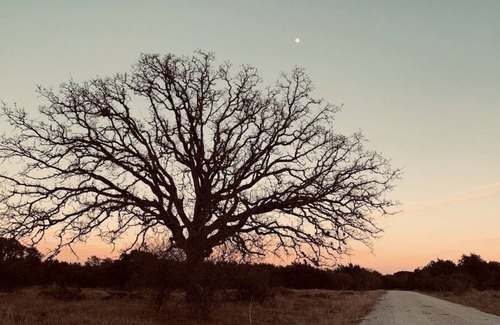 Llano Alquiler De RV | Camping! Solar Eclipse. BRING YOUR OWN TENT!