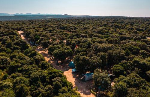 Kolan Otro | Camping Sugar