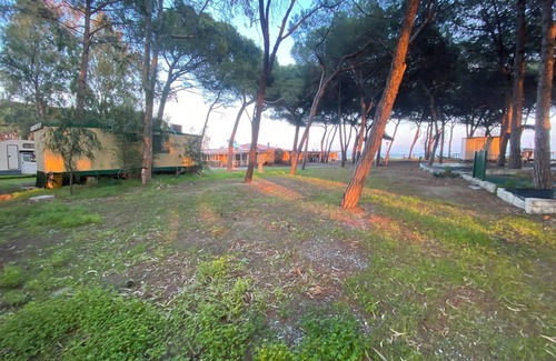 Borgia Casa | Camping surrounded by nature within walking distance from the sea