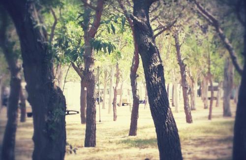 Manfredonia Otro | Camping Tellina