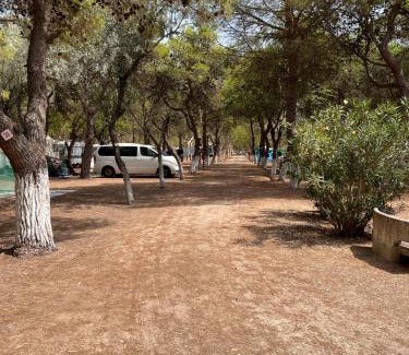 Manfredonia Otro | Camping Tellina