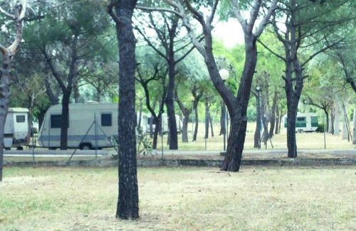 Manfredonia Otro | Camping Tellina