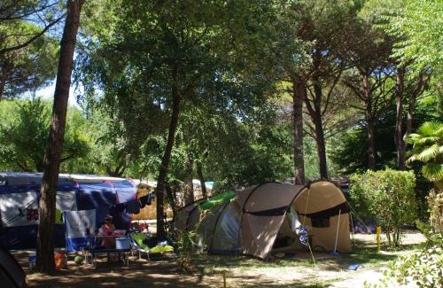 Ca' Savio Otro | Camping Valdor Camper & Pitch