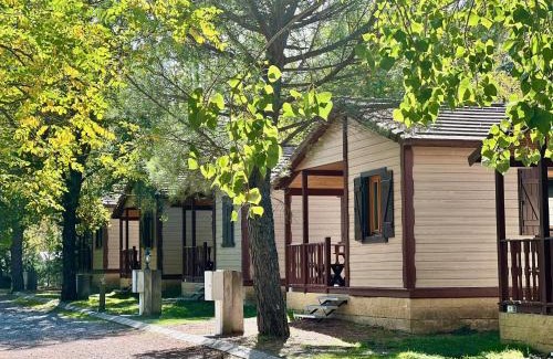 Hecho Otro | Camping Valle de Hecho