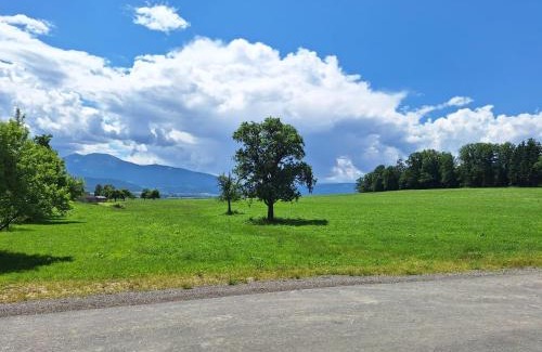 Spielberg Otro | Campingplatz Orange Schindelbacherhof