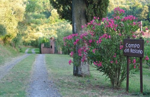 Montescudaio Casa | Campo del Rosario