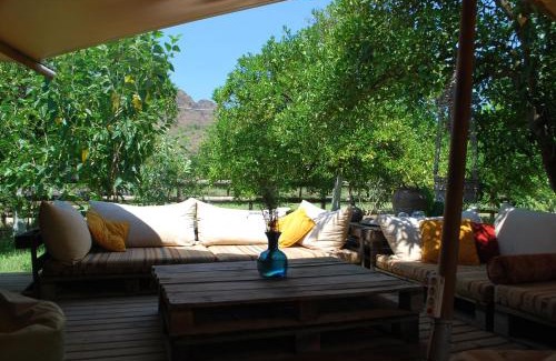 Cirali Otro | Campo Portakal Eco Glamping