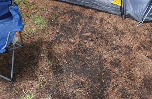 Cheboygan Alquiler De RV | Campsite. Equipment included. (Tents, beds, bedding, etc.) On the lake!