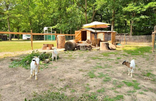 Combreux Casa | Campsite Seasonova Etang de la Vallée *** - MOBILEHOME 2 ROOMS 4 persons