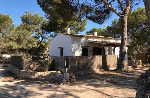 Sant Francesc Xavier Casa | Can Andreu Morna