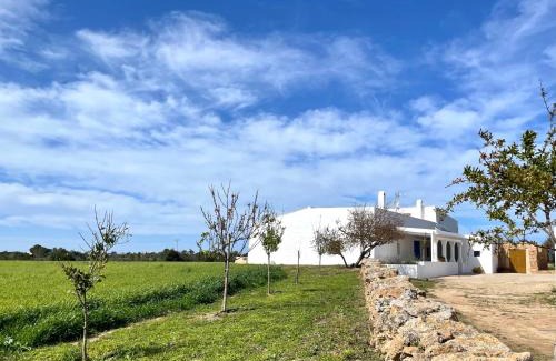 Formentera Casa | Can Marianet