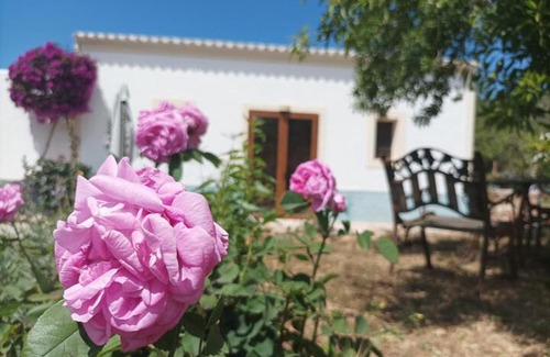 Sant Joan de Labritja Hotel | Can Pep Pardal