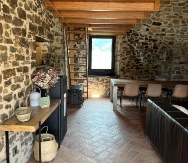 Sant Joan de Les Abadesses Casa | Can Sau