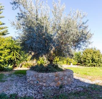 Campanet Casa | Can Tut